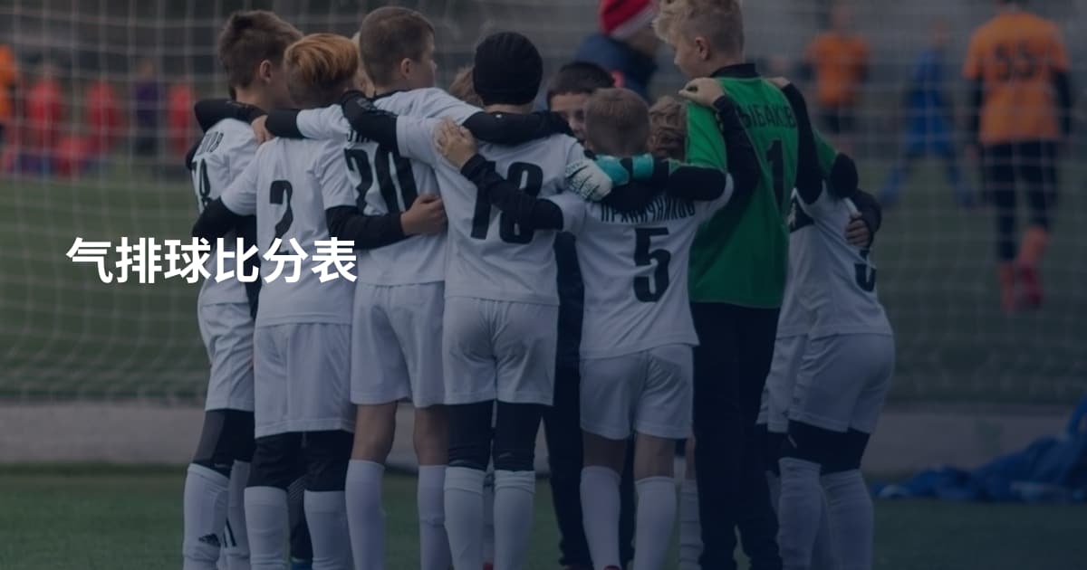 气排球比分表