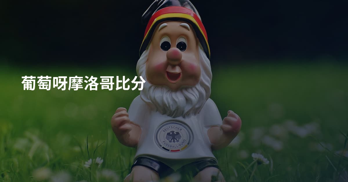 葡萄呀摩洛哥比分