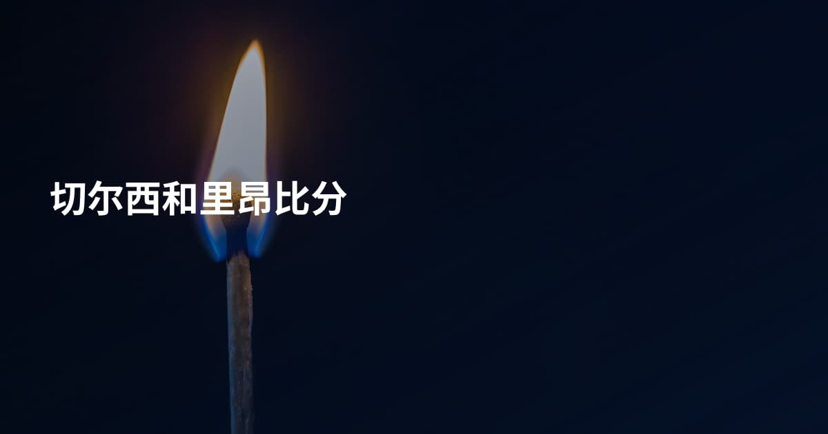 切尔西和里昂比分