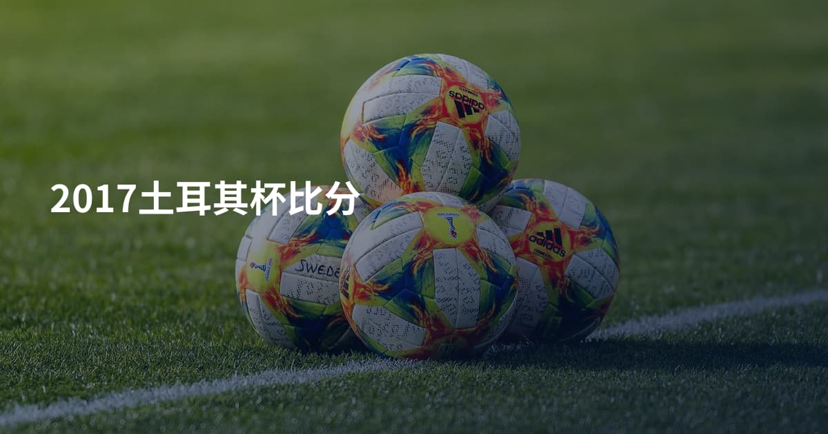 2017土耳其杯比分