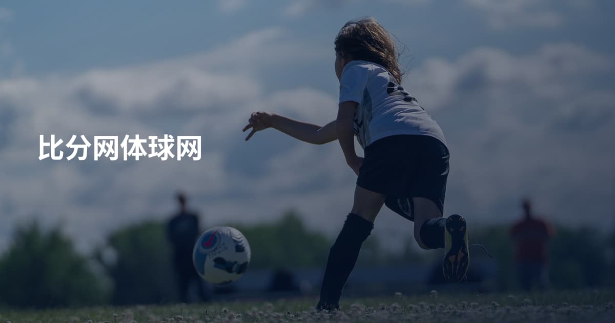 比分网体球网