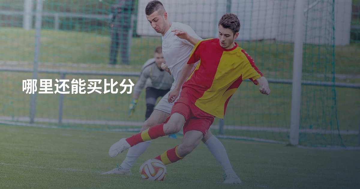哪里还能买比分