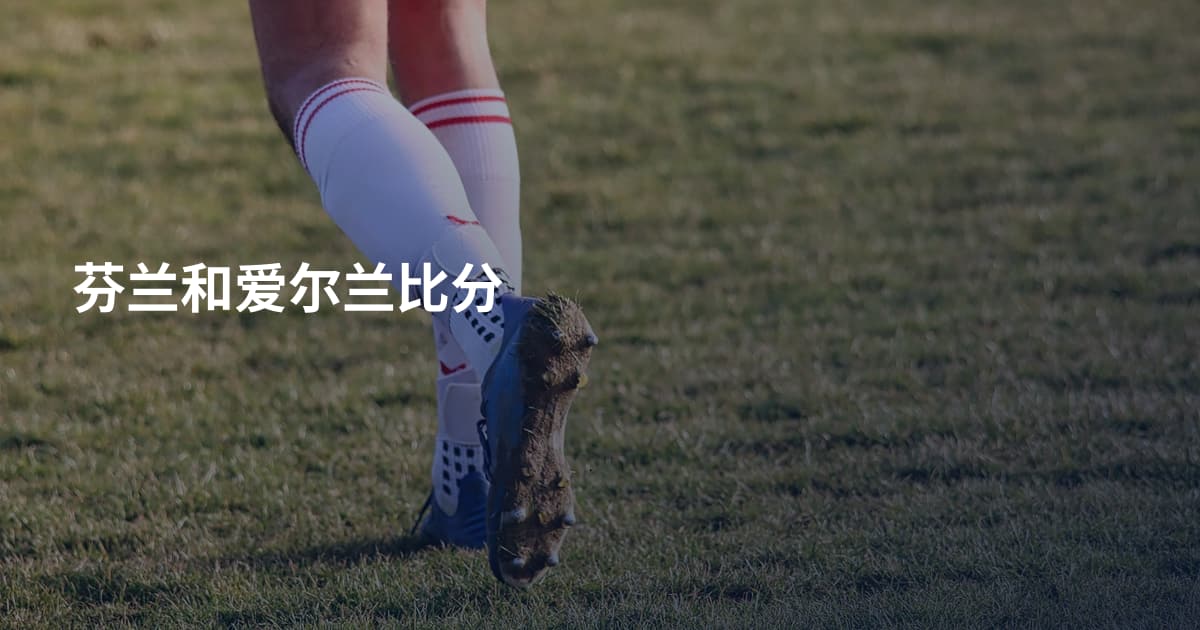 芬兰和爱尔兰比分