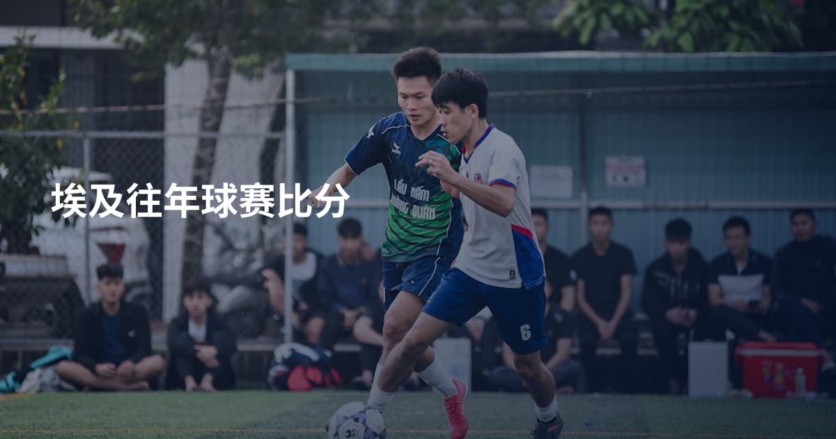 埃及往年球赛比分