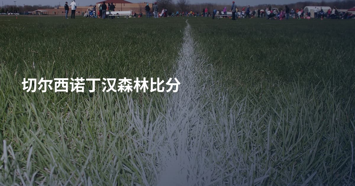 切尔西诺丁汉森林比分