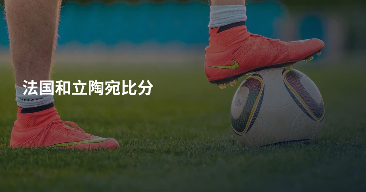 法国和立陶宛比分