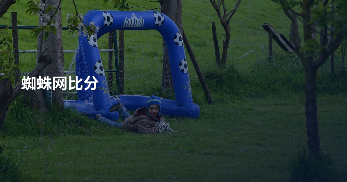 蜘蛛网比分