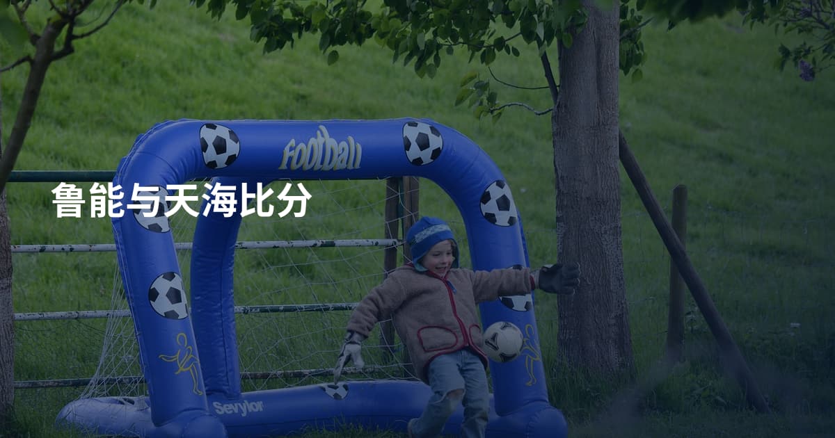 鲁能与天海比分