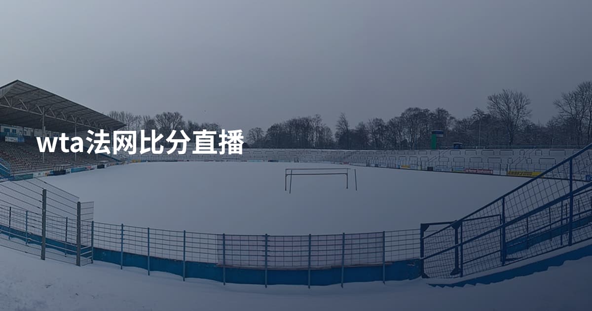 wta法网比分直播