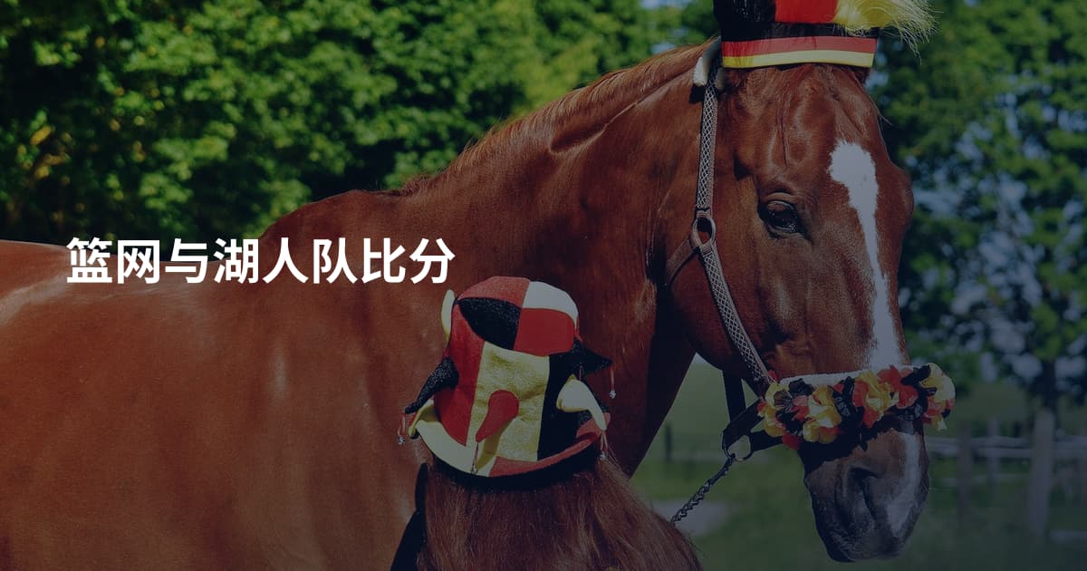 篮网与湖人队比分