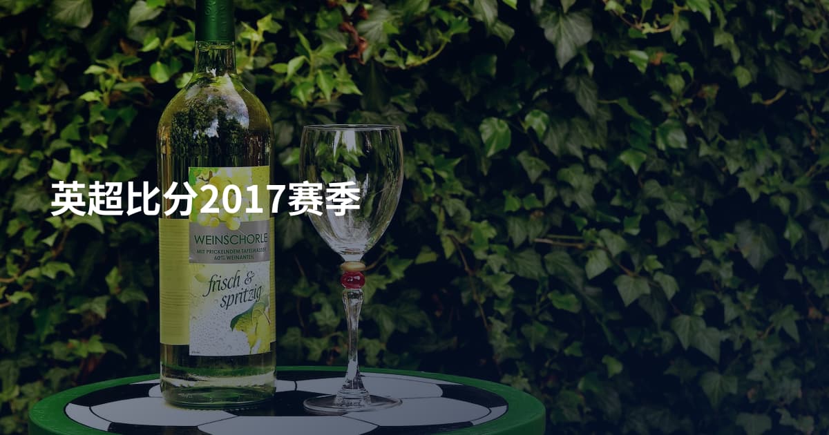 英超比分2017赛季