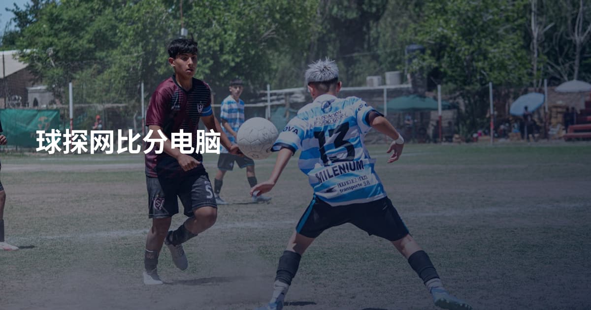 球探网比分电脑