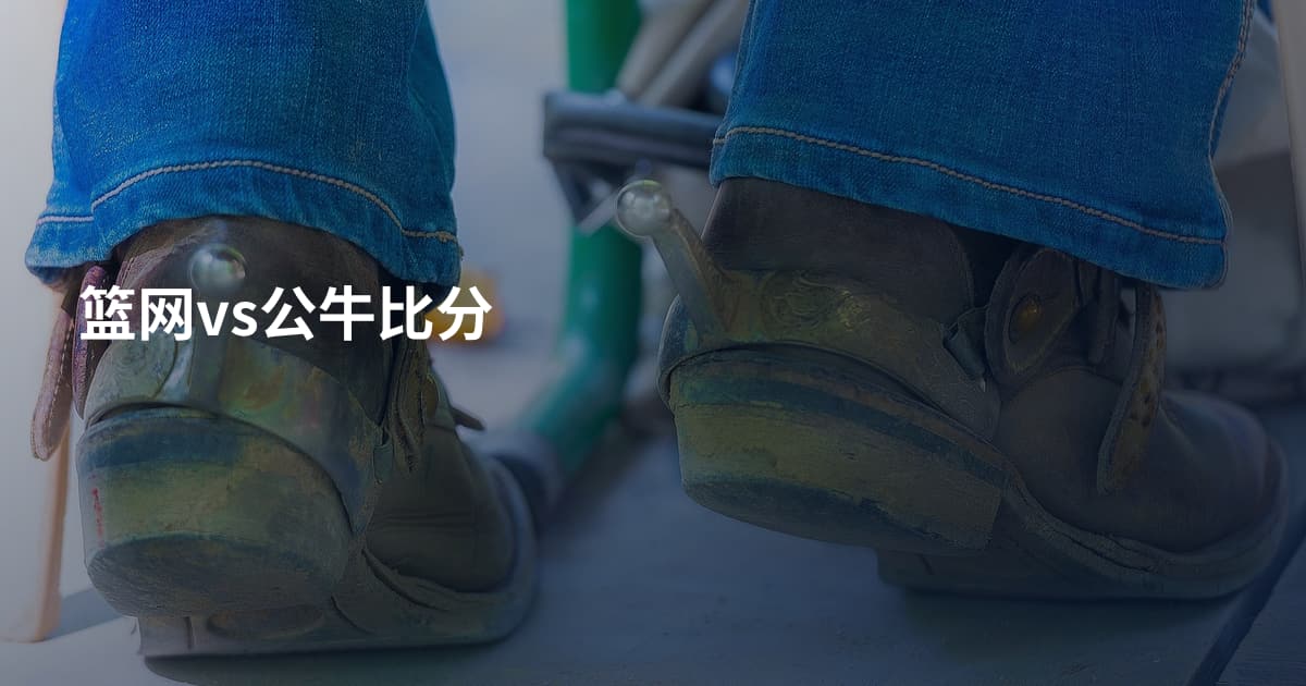 篮网vs公牛比分