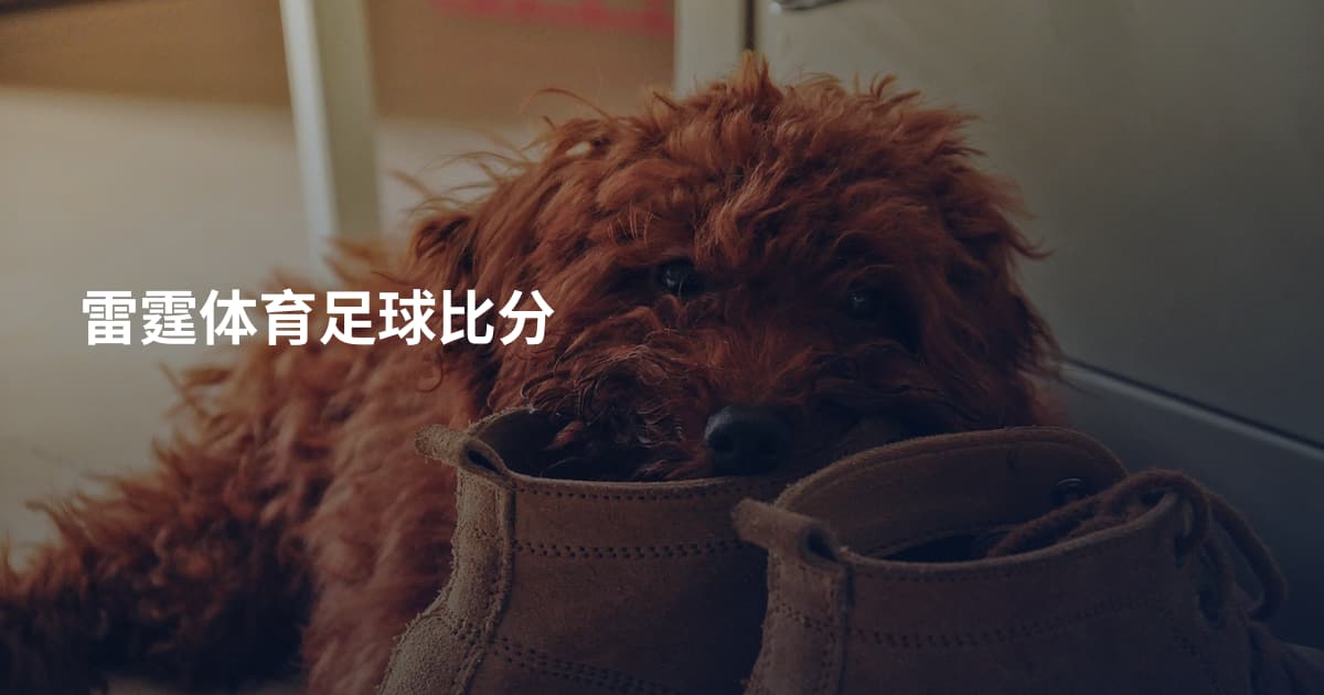 雷霆体育足球比分