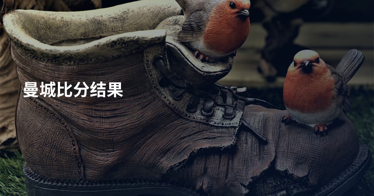 曼城比分结果