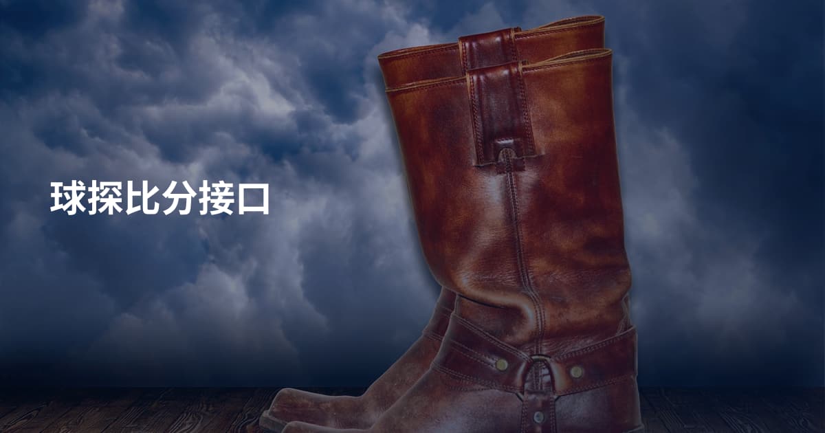球探比分接口