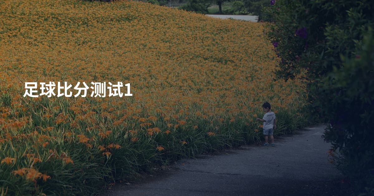 足球比分测试1