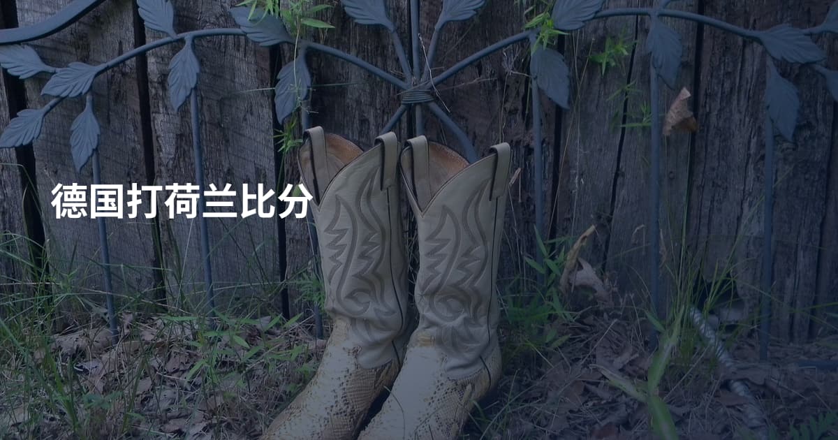 德国打荷兰比分