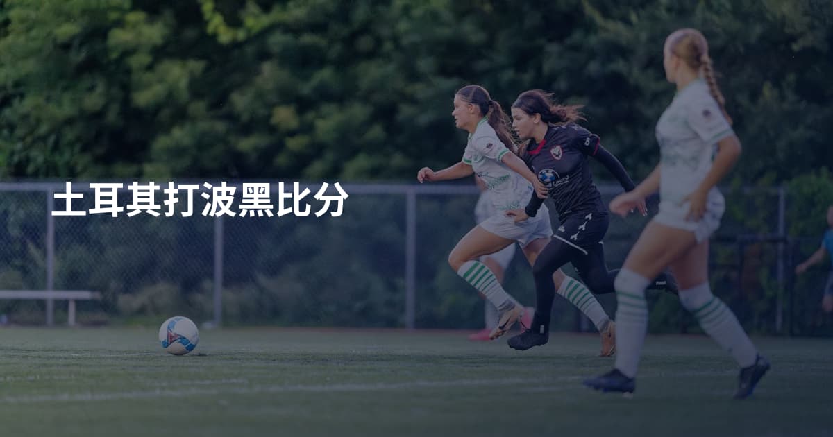 土耳其打波黑比分