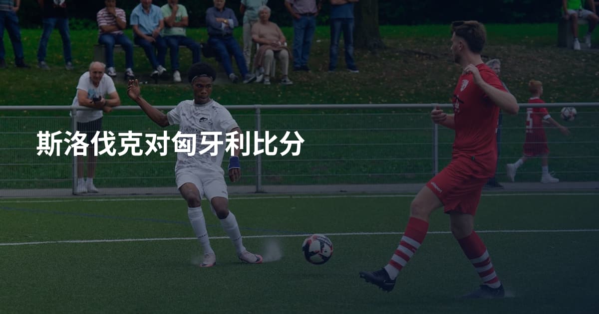 斯洛伐克对匈牙利比分