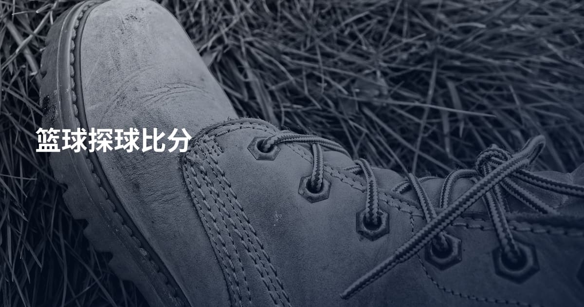 篮球探球比分