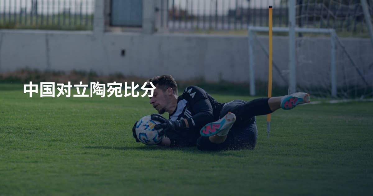 中国对立陶宛比分