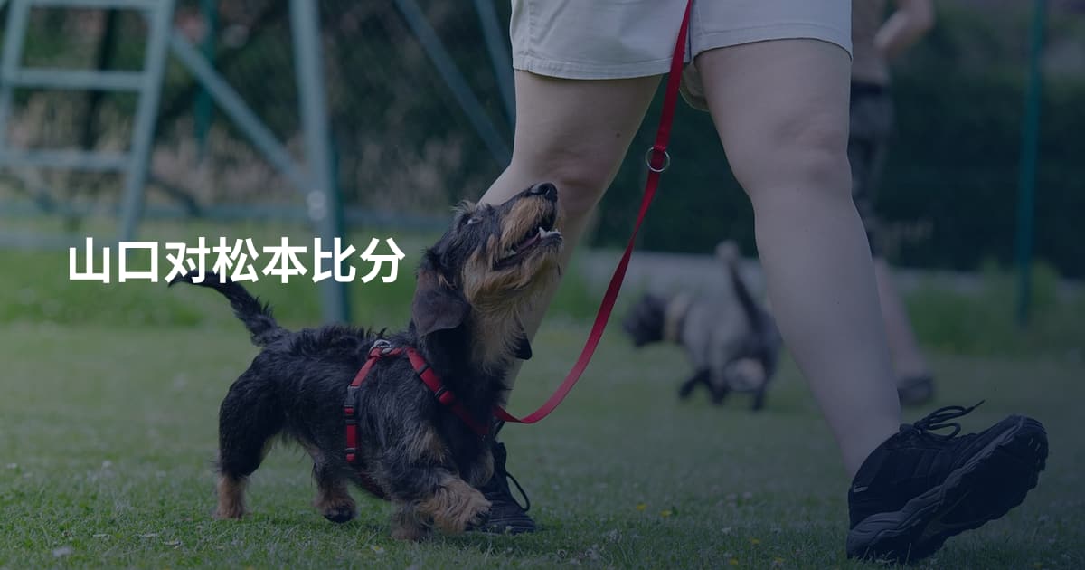 山口对松本比分