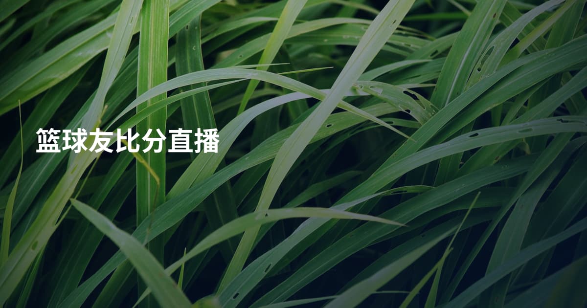 篮球友比分直播