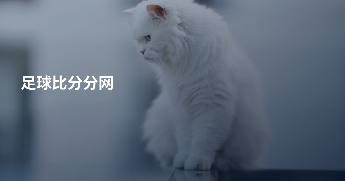 足球比分分网