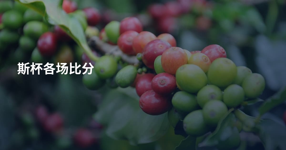斯杯各场比分