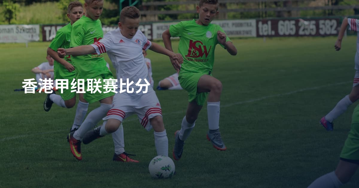 香港甲组联赛比分
