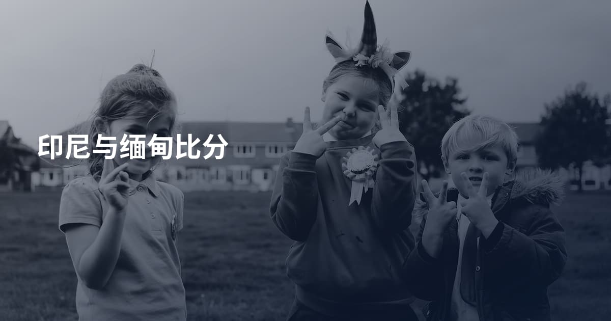 印尼与缅甸比分