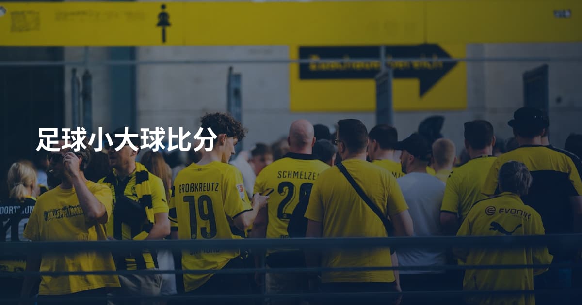 足球小大球比分