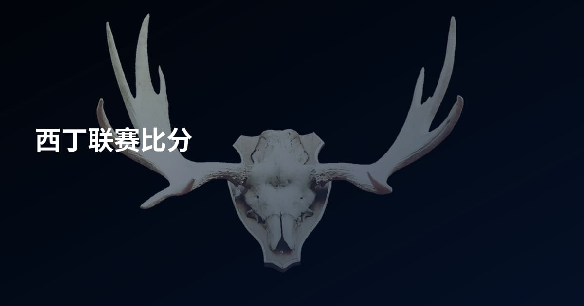 西丁联赛比分