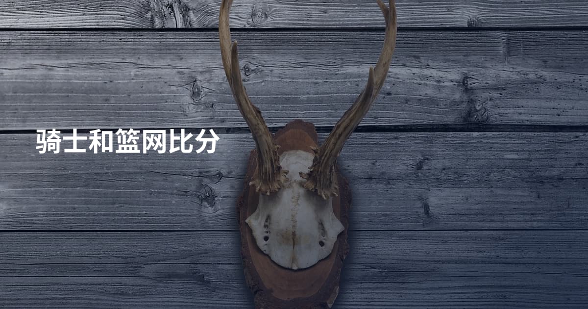 骑士和篮网比分