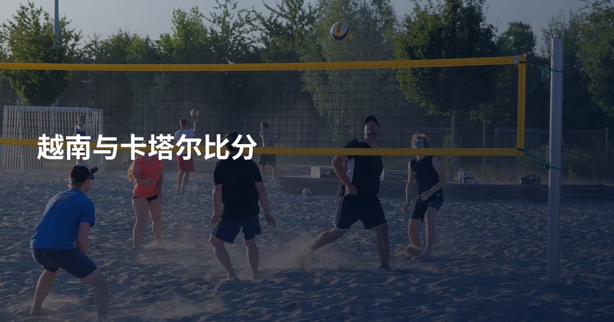 越南与卡塔尔比分
