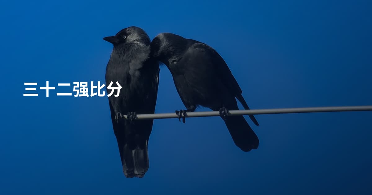 三十二强比分