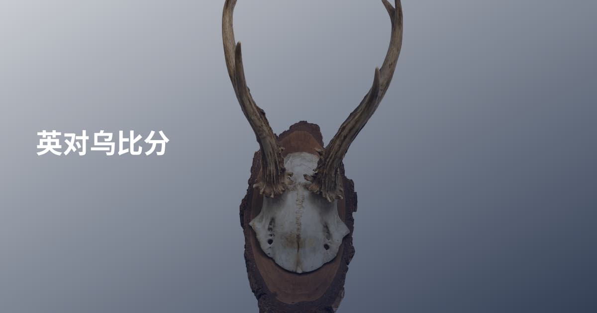 英对乌比分