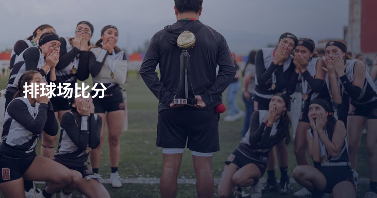 排球场比分