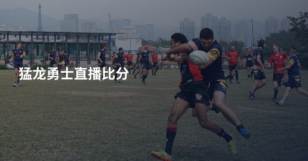 猛龙勇士直播比分