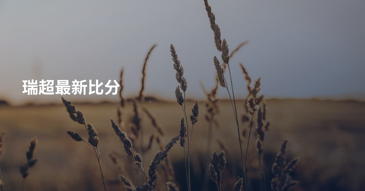 瑞超最新比分