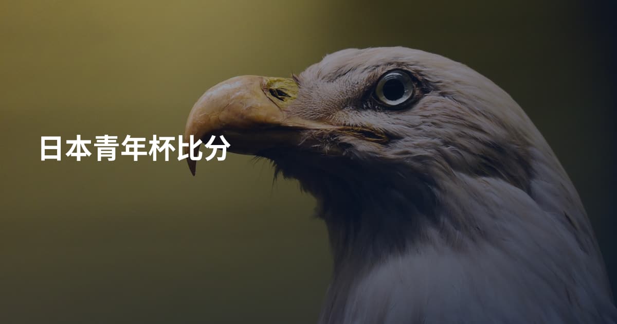 日本青年杯比分