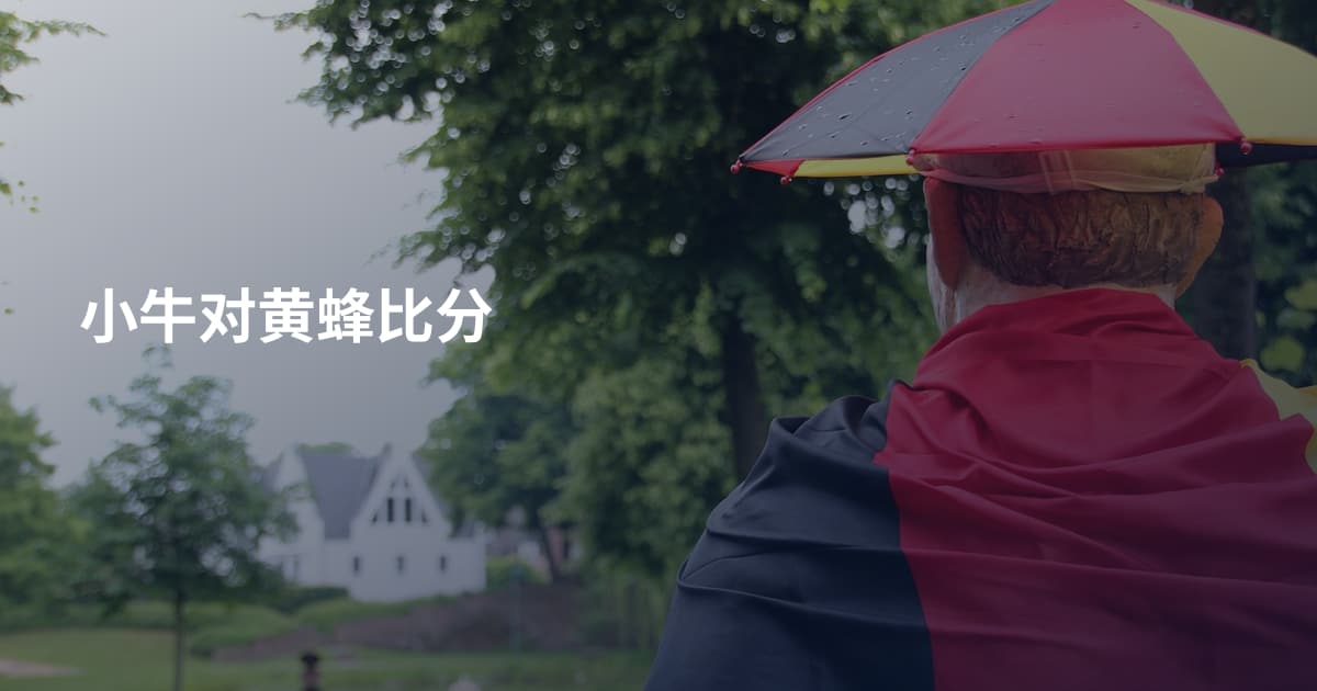 小牛对黄蜂比分