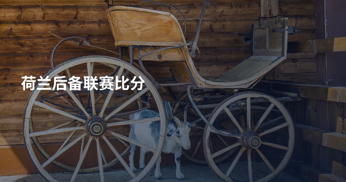 荷兰后备联赛比分