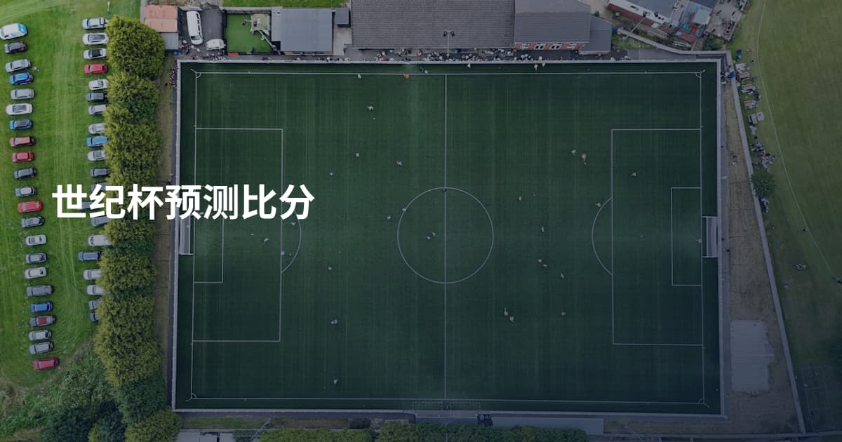 世纪杯预测比分