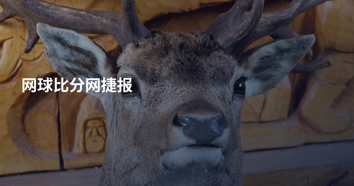 网球比分网捷报