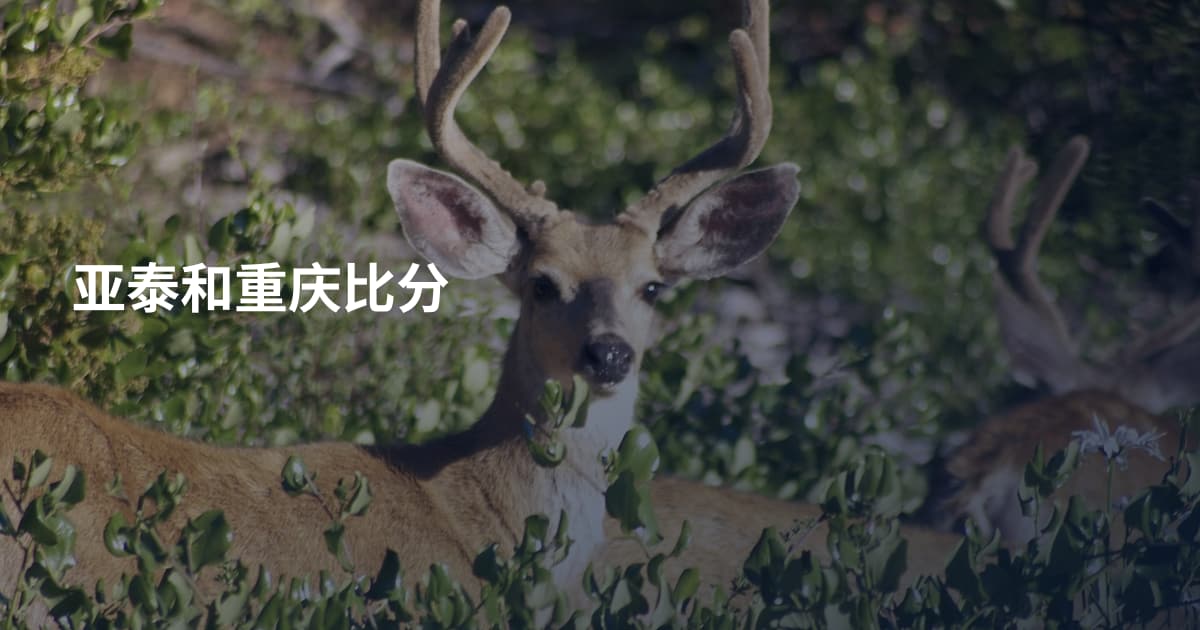 亚泰和重庆比分