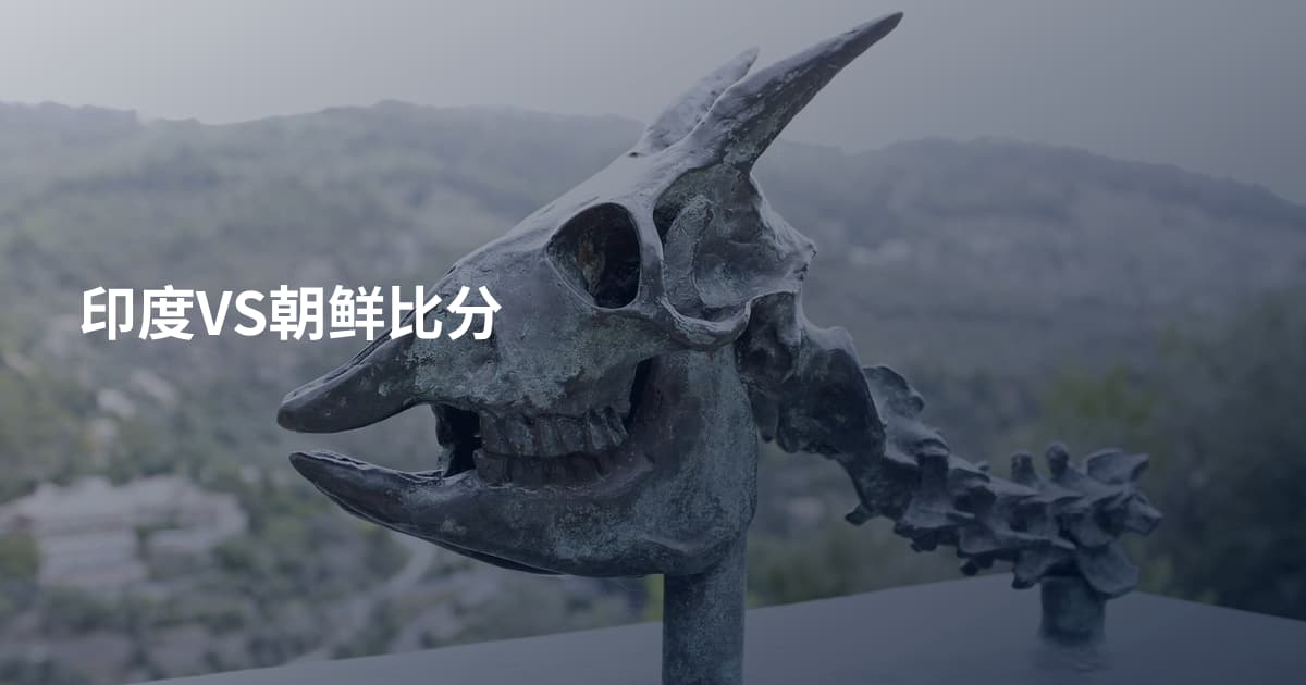 印度VS朝鲜比分