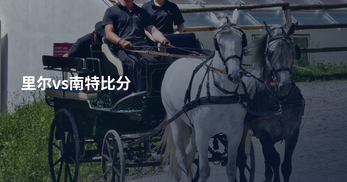 里尔vs南特比分