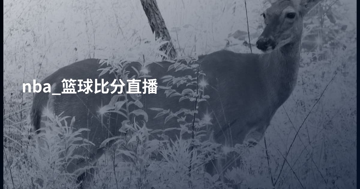 nba_篮球比分直播